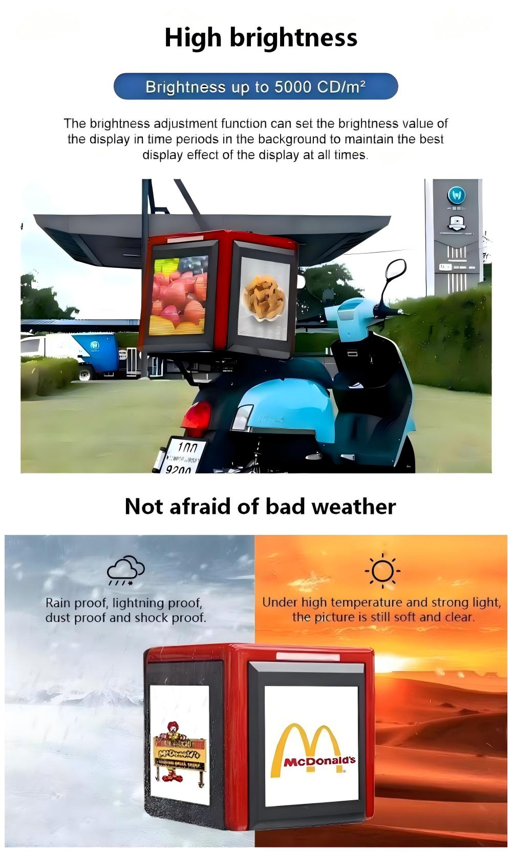 1769415555582006.jpg 005.jpg