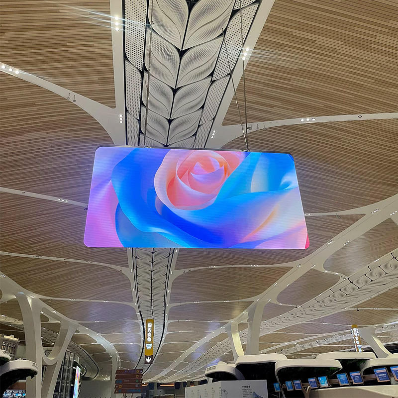 1771493474432831.jpg b.jpg