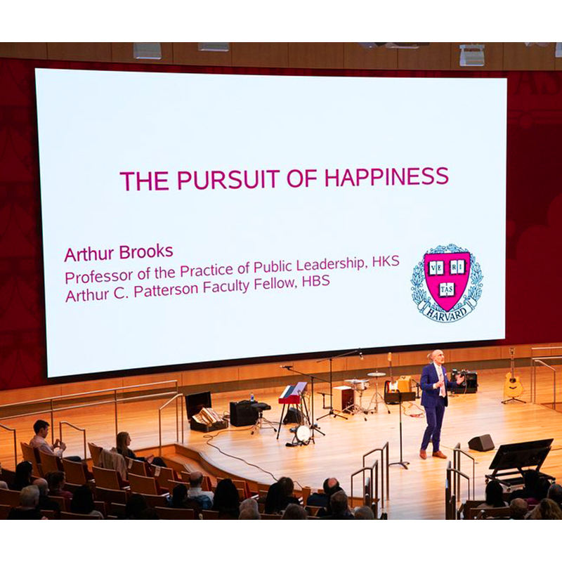 Home Theater Fine Pitch Cob P0.9 Indoor Led Screen