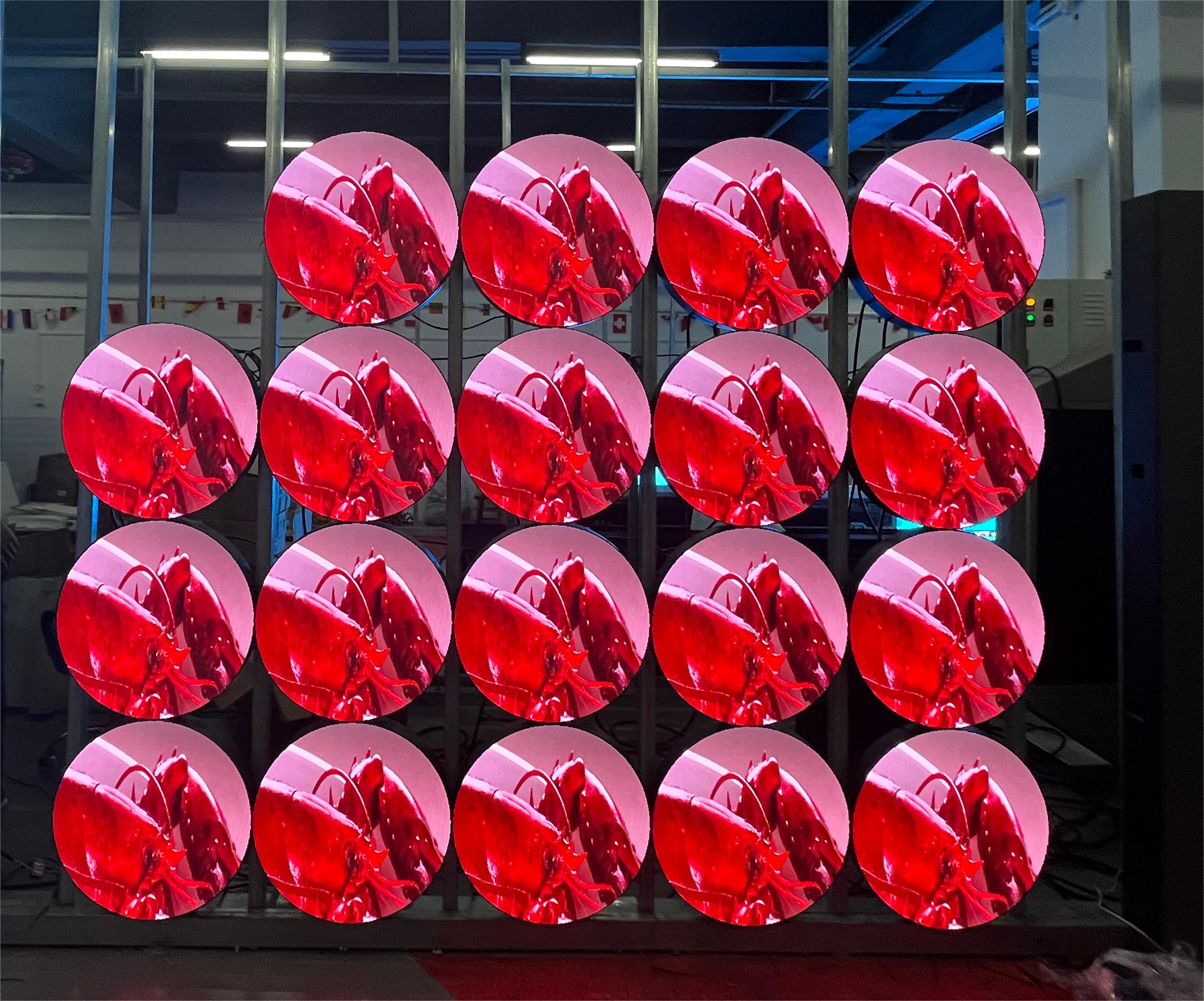 Customized Indoor round led display / circular LED screen